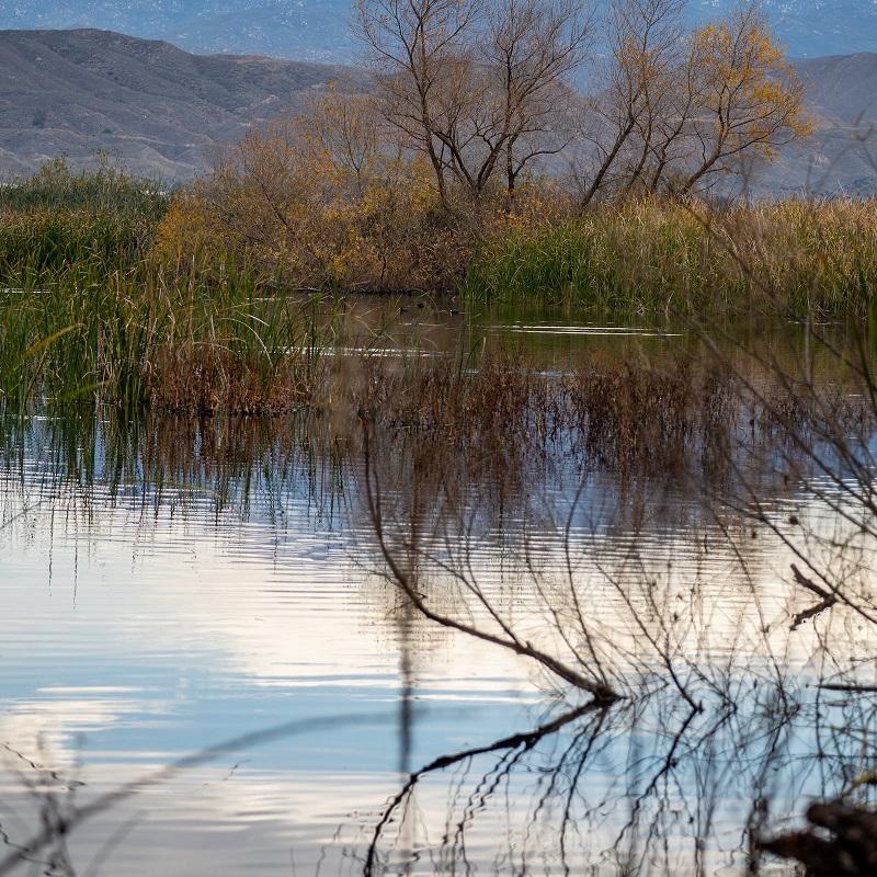 1675755118878772.jpg 54.jpg