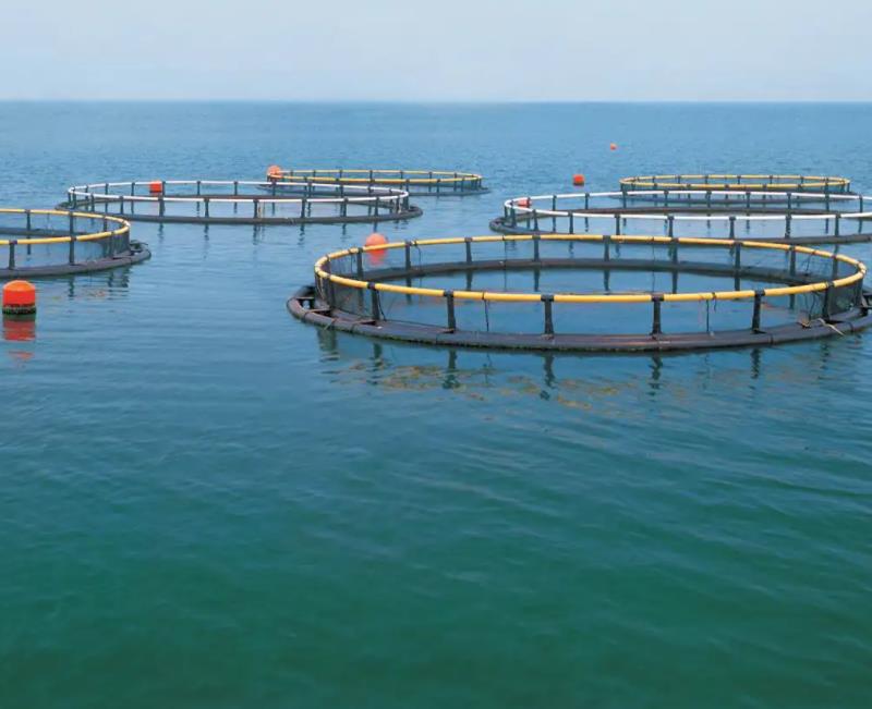 1678256468968905.jpg 養(yǎng)殖1.jpg