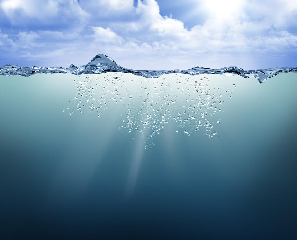 1699512683713695.jpg 1699512683713695.jpg