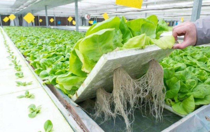 1761014527910212.jpg 1761014527910212.jpg