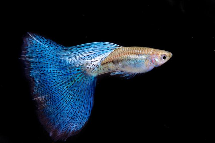 1762915594555273.jpg f9bd1b324f3014416018241b6986c284_1762740052361583.jpg